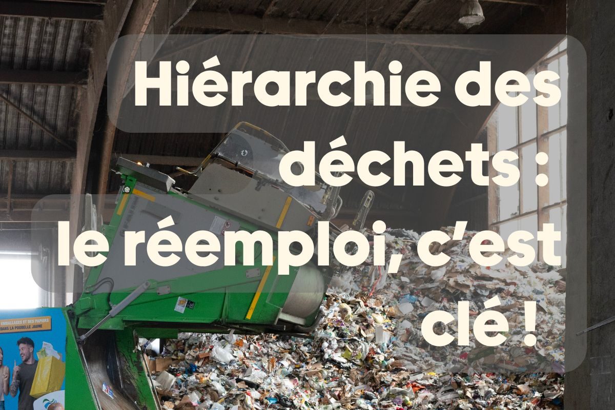 Hiérarchie des déchets : pourquoi le réemploi est clé